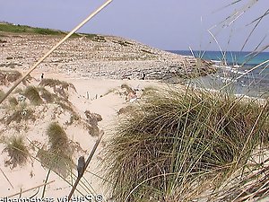 A mature woman feels that she is not being watched on a beach for nudists.