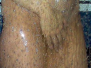 German MILFs are posing fully undressed on picture