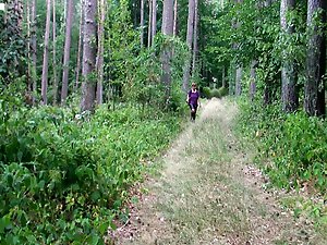 Chocolate bars and pissing